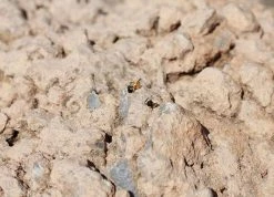 Ana Dyla Accessories Lina Recycled 925 Sterling Silver Black Spinel Stud Earrings | Gold Vermeil