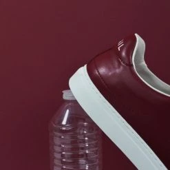 Corail Shoes Marseille 21 Recycled Vegan Trainers | Burgundy