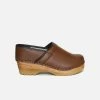 Good Guys Don't Wear Leather Van Gogh Vegan Leather Closed Clogs | Brown