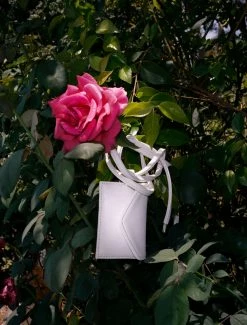 HOZEN Desserto® Cactus Leather Vegan Card Holder | Swan