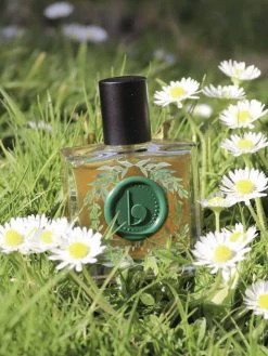 Lovorika Delphi Dry Oil Vegan Parfum | 30ml Beauty
