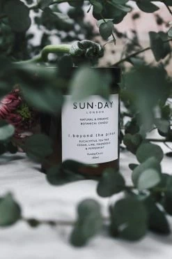 Sun.day Of London Luxury Vegan Candle | Beyond The Pines 180ml Women's Vegan Gifts Under £30 9 Sun.day Of London Luxury Vegan Candle | Beyond The Pines 180ml Women's Vegan Gifts Under £30