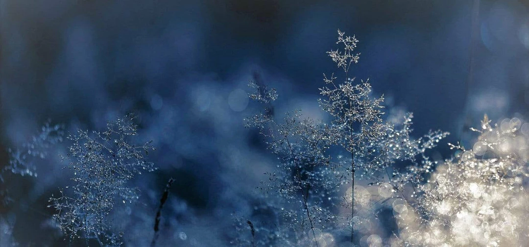 Ubiety Calming Vegan Body Salve | Frankincense & Lavender 120ml Women's Vegan Gifts Under £30 5 Ubiety Calming Vegan Body Salve | Frankincense & Lavender 120ml Women's Vegan Gifts Under £30