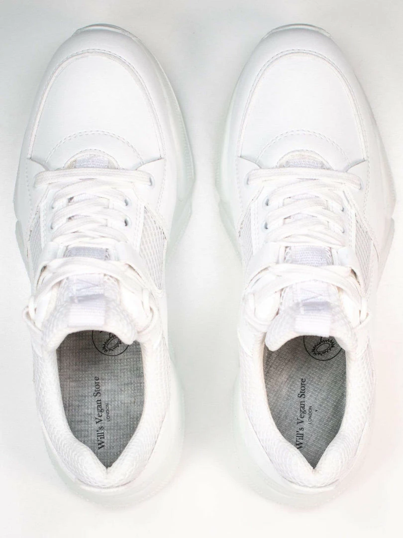 Will's Men's Chicago Vegan Leather Low Tops | Multiple Colours Shoes 6 Will's Men's Chicago Vegan Leather Low Tops | Multiple Colours Shoes