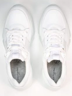 Will's Women's Chicago Vegan Leather Low Tops | Multiple Colours Shoes