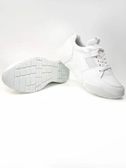 Will's Women's Chicago Vegan Leather Low Tops | Multiple Colours Shoes