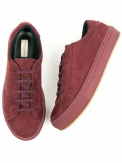 Will's Women's Vegan Suede Trainers | Multiple Colours Shoes